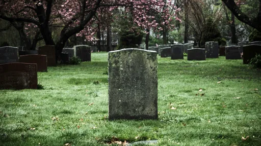 兄妹清明祭祖「媽媽墳墓整座不見了」　原址土裡變成陌生人