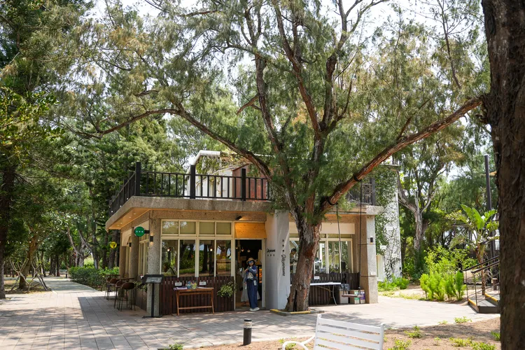 隱藏在林蔭間的「及林春咖啡館」。田欣雲攝