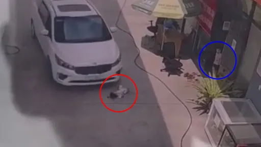 影片｜加油站長放縱2歲女兒車道打滾「害她被輾死」　男童驚悚目擊