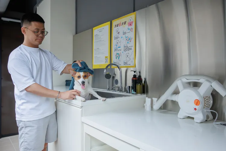 館內3樓設有寵物自助洗沐區，配備洗沐台、吹水機及專用設備，造兼具機能與品味的人寵旅宿體驗。瀚寓夏天提供