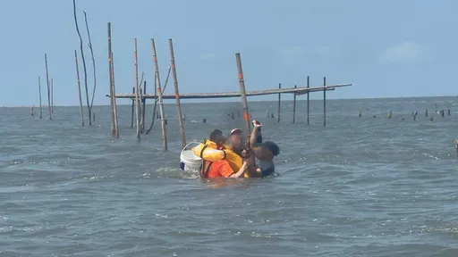 彰化芳苑海域採貝出意外　2人遇漲潮險滅頂！緊抓蚵架救命