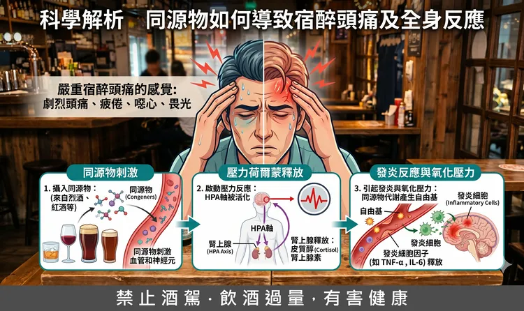 在代謝過程中，分解同源物會與分解乙醇產生「競爭關係」，導致酒精與有毒副產物在體內停留更久。AI生成