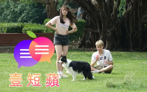 壹短蘋｜寵物用藥新制直接喊卡　不是改革根本是大翻車災難