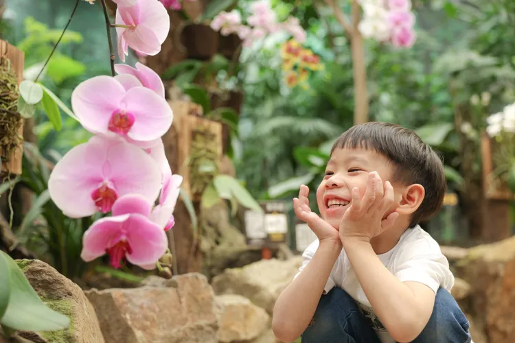 捷絲旅宜蘭礁溪館專案串聯金車礁溪蘭花園生態館行程，延伸親子自然探索體驗。捷絲旅提供