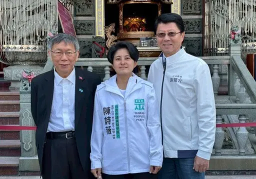 台南第一選區6席議員「減1」　藍白合民眾黨推人空降