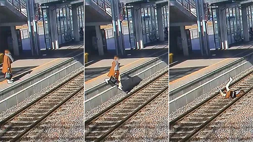 走路講手機「摔出月台」　女乘客超糗頭撞鐵軌還被公布警示