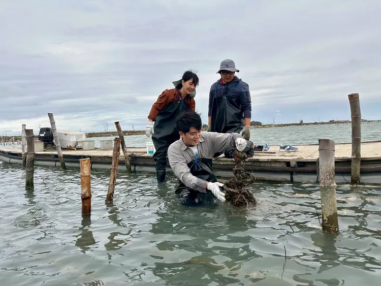 水文化路線體驗採蚵。公視台語台提供