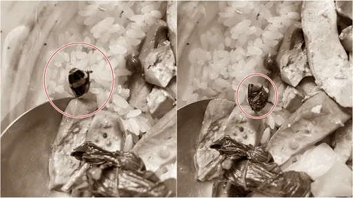 劉德華愛店「君悅排骨」民眾吃到蟑螂頭　店長道歉退錢