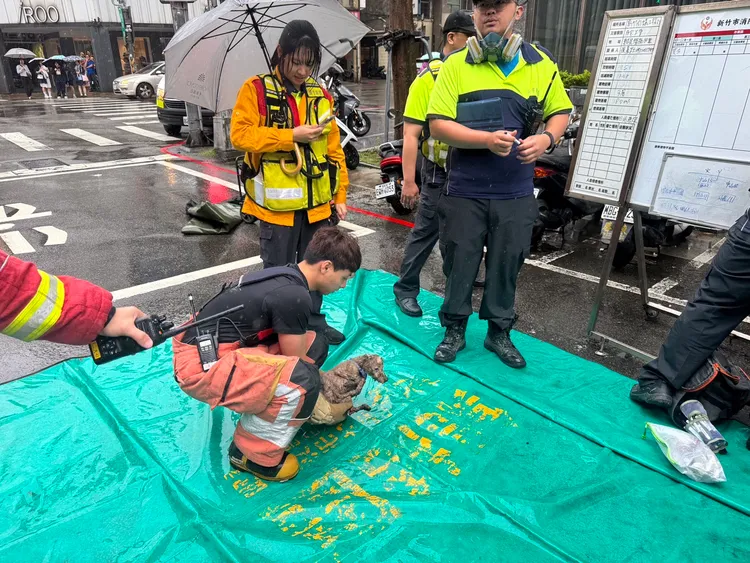 消防人員救出一隻受困的毛小孩。新竹市消防局提供