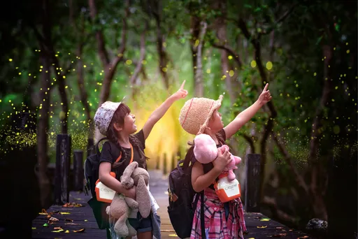 台北晶華春季限定賞螢加五星自助晚宴　打造親子生態奢華假期