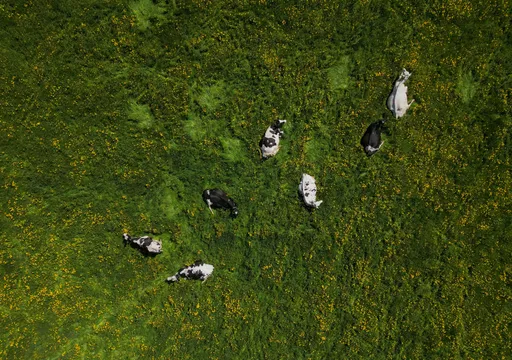 就怕人口太多！瑞士公投提案上限1千萬人