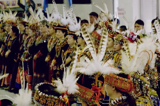 台灣最難見猛禽現身　揭部落文化與物種危機