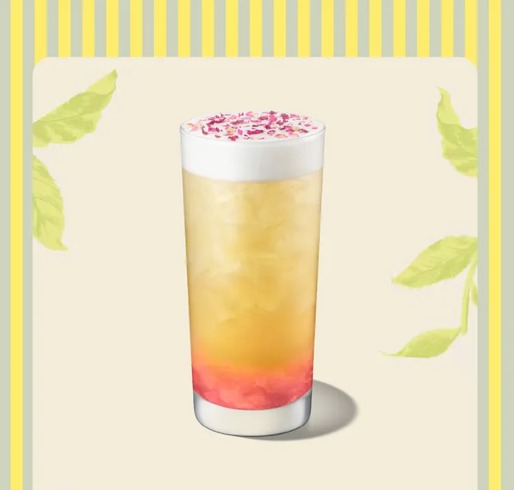 蘋果山茶花風味青茶。星巴克提供