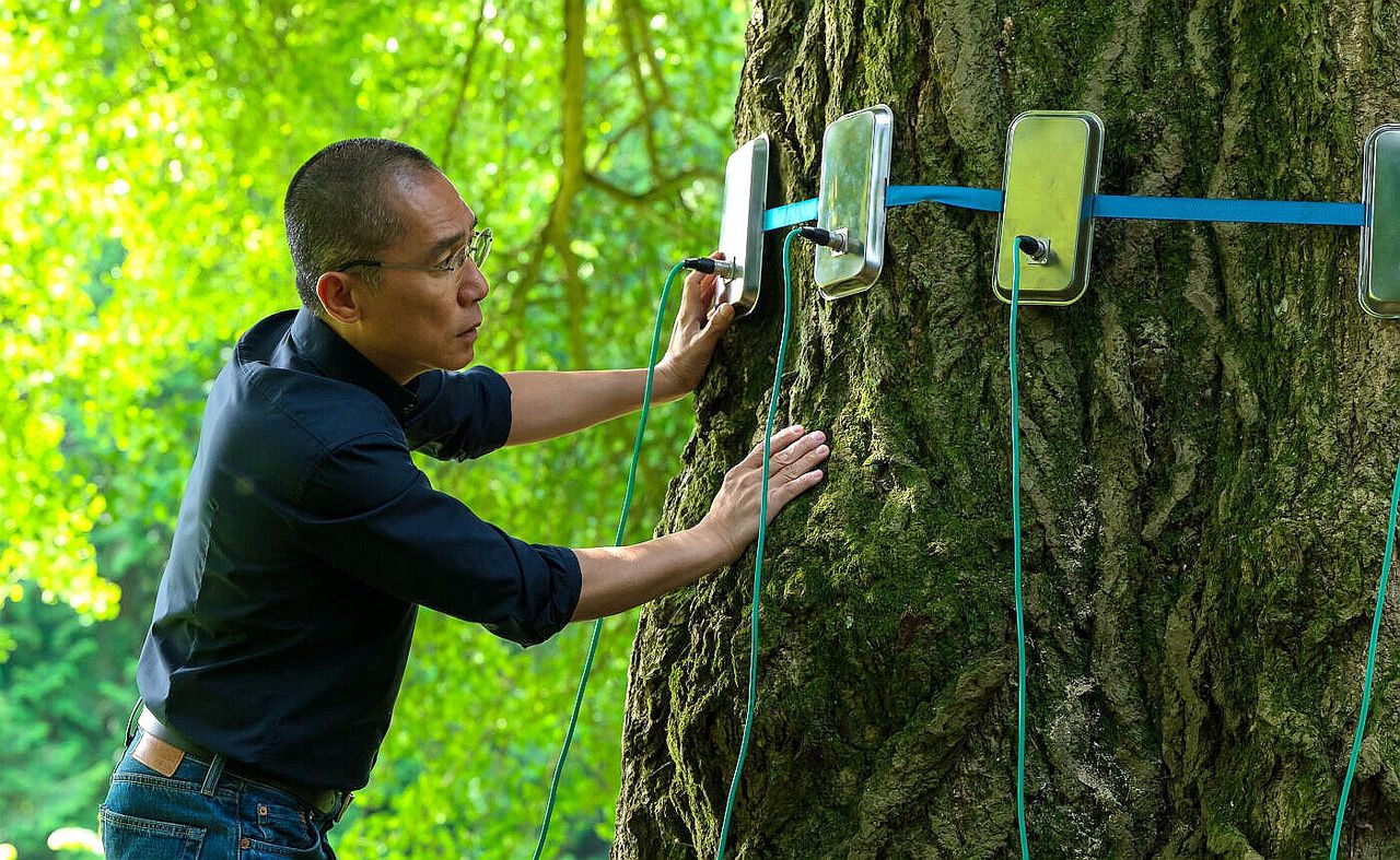 梁朝偉和她視訊培養默契 聯手助銀杏樹完成性體驗