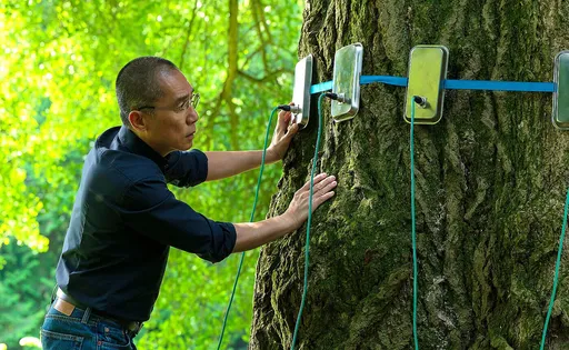 梁朝偉和她視訊培養默契　聯手助銀杏樹完成性體驗