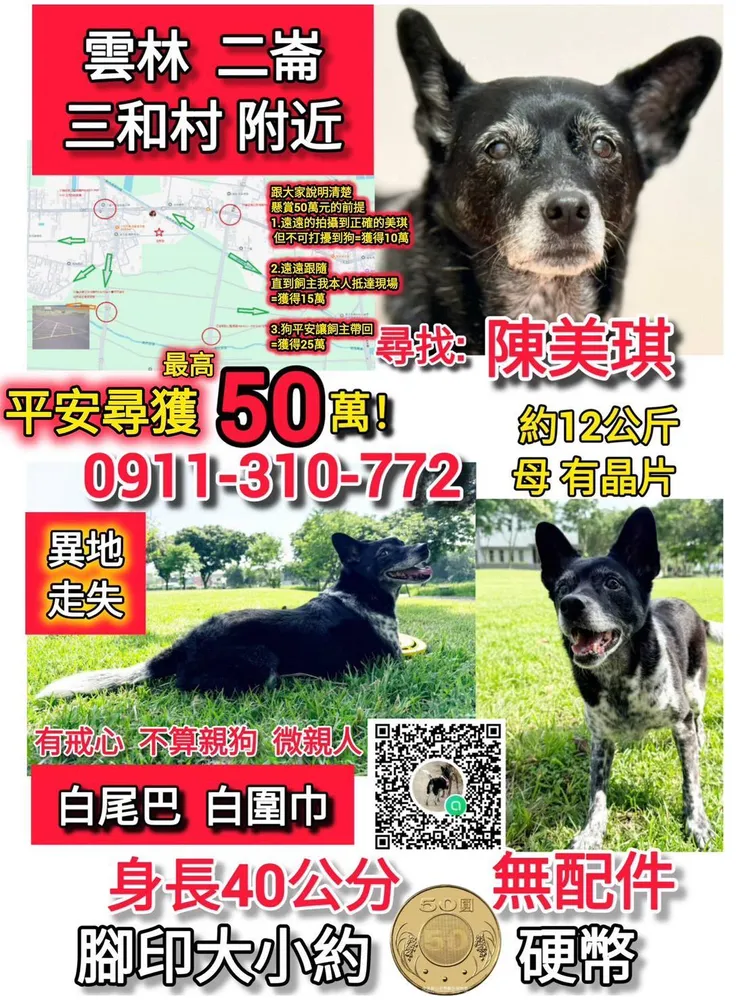 陳小姐及親友懸賞50萬找美琪，在網路引起熱議。翻攝照片