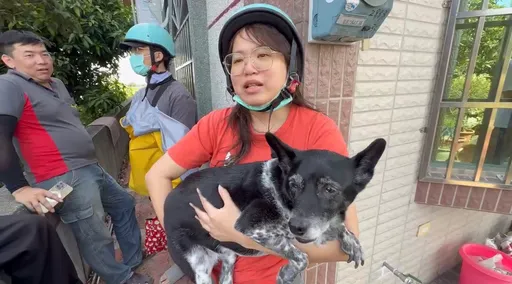 尋獲片｜美琪回家了！懸賞50萬找「家人」完美結局　飼主喜極而泣