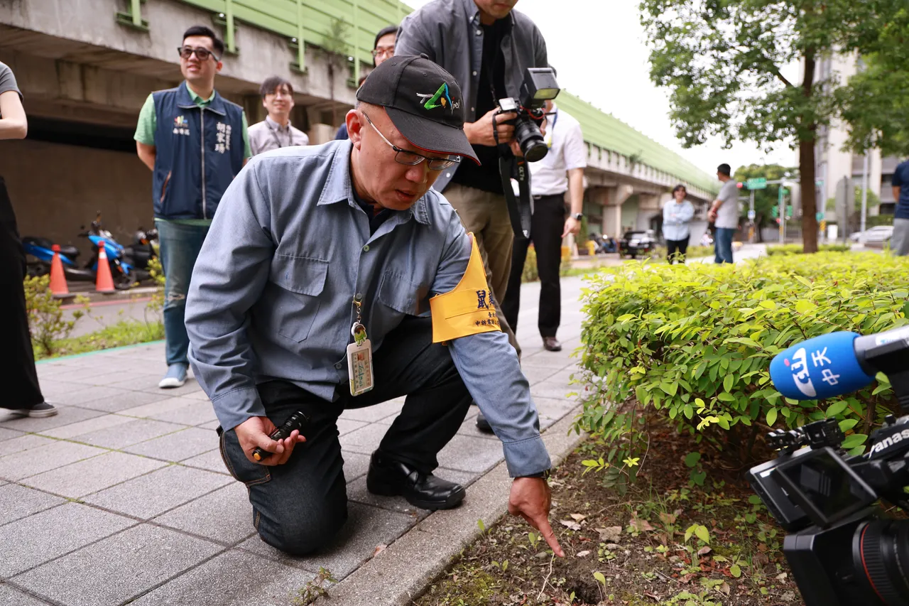 北市「鼠類偵防師」明起可申請！社區診斷給客製化防治