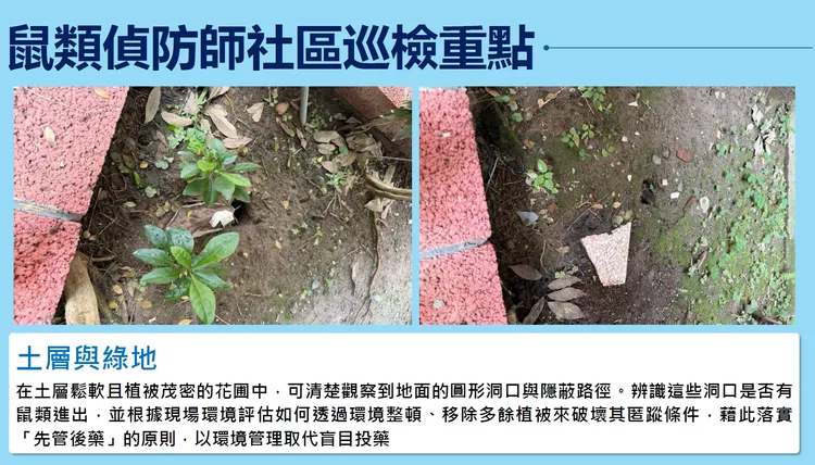 鼠類偵防師社區巡檢重點。北市環保局提供