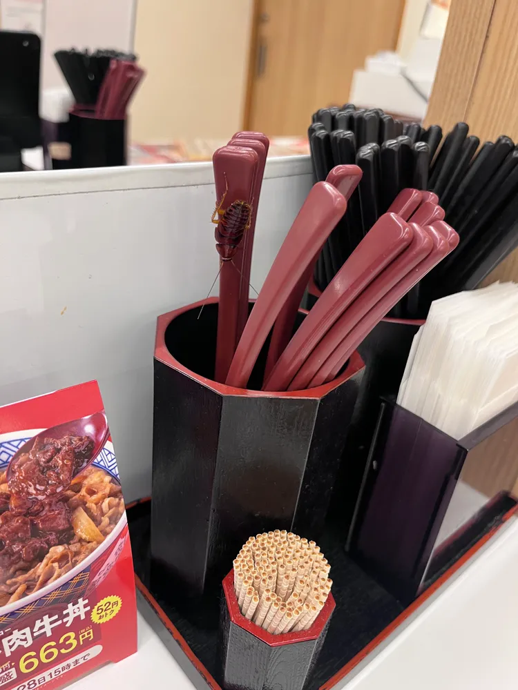 湯匙上的蟑螂似乎不是常見品種。翻攝X