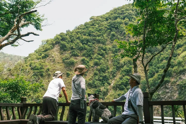 太魯閣晶英酒店鄰近的綠水文山步道林蔭環繞，適合樂齡族群輕鬆漫步。太魯閣晶英酒店提供