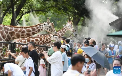 今年1現象超強！廣州熱爆「體感47度」　網：想去非洲避暑