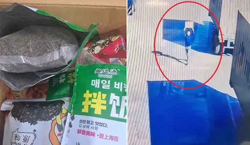 泰國海苔藏大麻闖關！移工興奮領貨「跳進廠房」　下一秒悲劇了