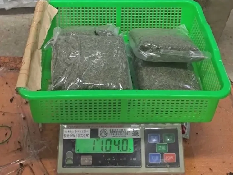 藏在海苔包裝內的大麻重逾1公斤。民眾提供