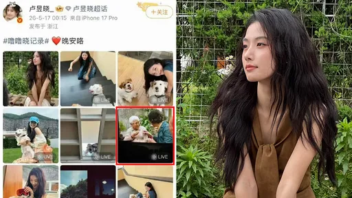 女星盧昱曉「看電影偷拍」還po網自曝　認錯：傷害創作者心血