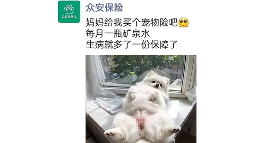 太噁！中國保險公司「狗狗P上女人下體」po社群打廣告