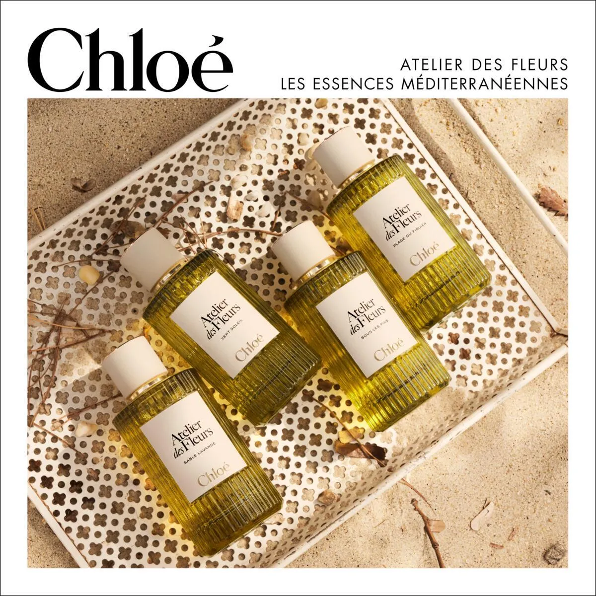 Chloé仙境花園系列，50ml／5300元、150ml／9900元。品牌提供