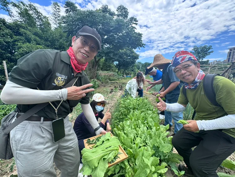 學員親手採集當季野菜，體驗原住民族「現採現煮」的飲食文化。原民局提供