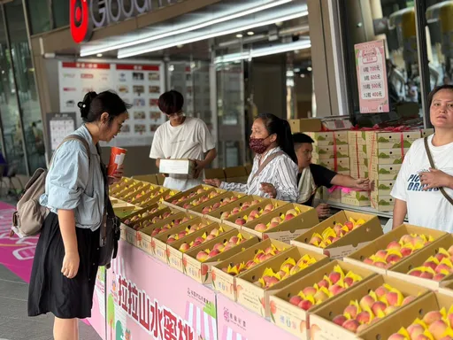 正宗拉拉山水蜜桃安心買　桃市府聯合稽查把關
