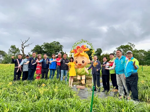 20萬株金針花海綻放！　桃園「花現台七-繡球金針農遊趣」」浪漫揭幕