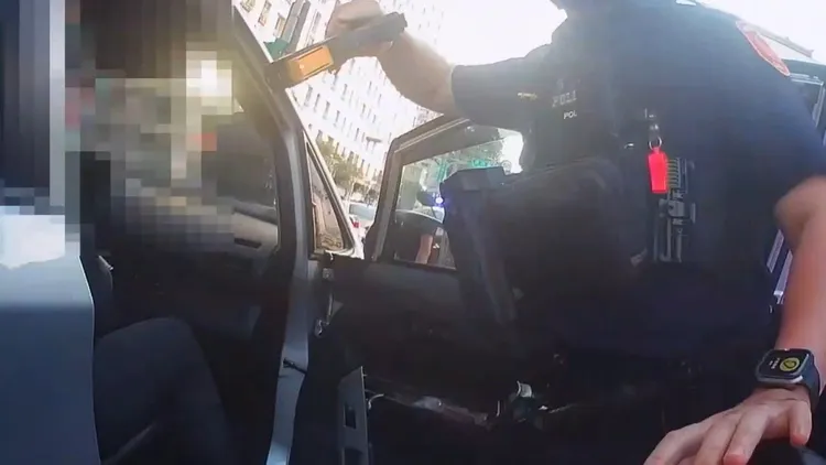警方打開車門逮人。翻攝畫面
