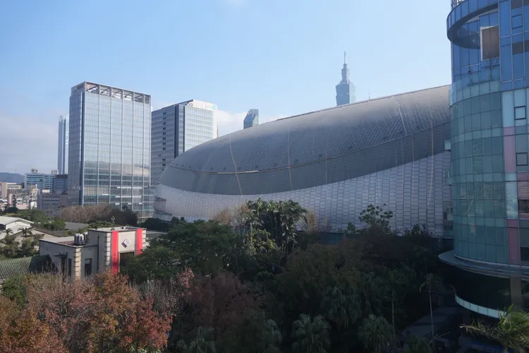 北市「安鼠之亂」！台北大巨蛋也曾鼠患　曝2招解決老鼠