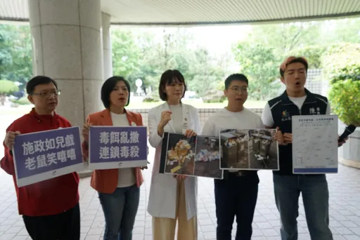 北市爆發安鼠之亂！女醫批「投藥滅鼠」治標不治本