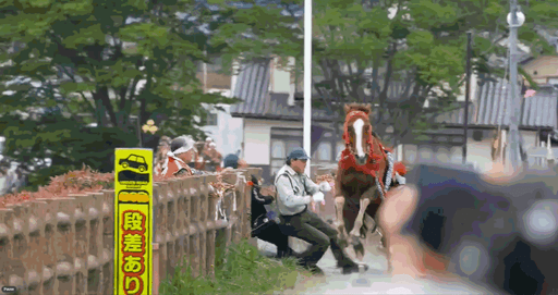 日本千年祭典驚傳意外　賽馬失控衝向觀眾席6傷