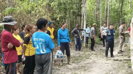 泰國姊妹採野菇遭野象狂追　妹妹遭踩踏內臟破裂身亡