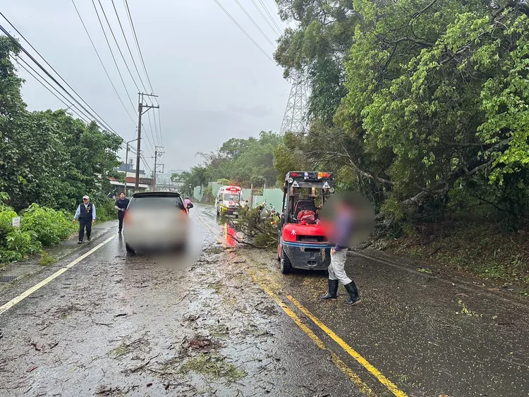 頭份市興隆路一段路樹倒塌壓傷騎士，警方通報鎮公所工程及清潔人員到場排除障礙。民眾提供