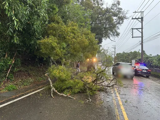 苗栗大雨路樹倒塌擊落機車　40歲男騎士頭部重創命危