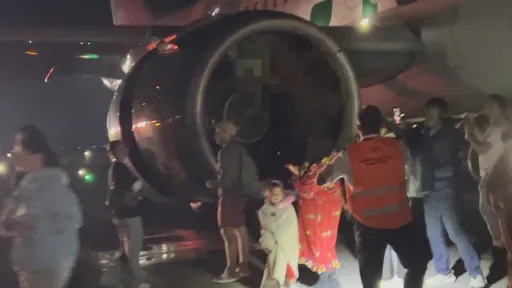 影片曝光！擅闖者疑遭發動機「吸入」　美客機起火乘客滑梯逃生