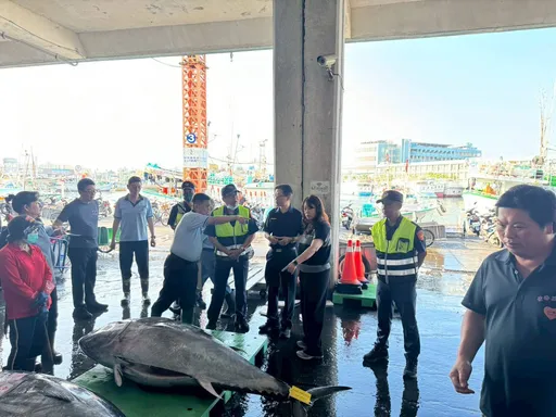 東港鮪魚季正式起跑！警結合漁會守「黑金」、護遊客