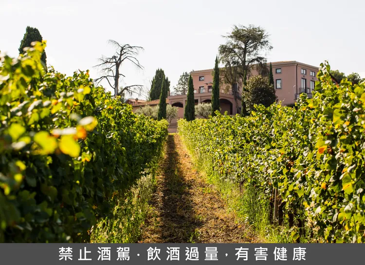 山狐酒莊粉紅建築與葡萄園，孕育精品級釀酒工藝。業者提供