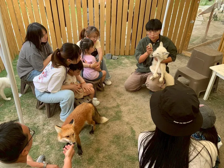 飼育員向遊客解說狐狸習性。野森動物學校提供