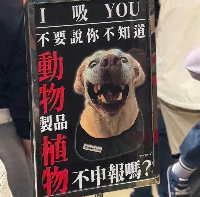 其他網友分享類似照片。翻攝自X @sosyetikhirsiz