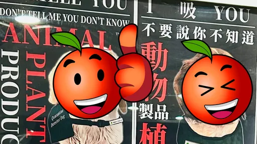 台灣檢疫犬「超殺眼神」反差萌！機場海報掀日本網友熱議
