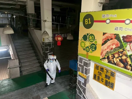 整治鼠患12區大清消　北市11日起連4天完成