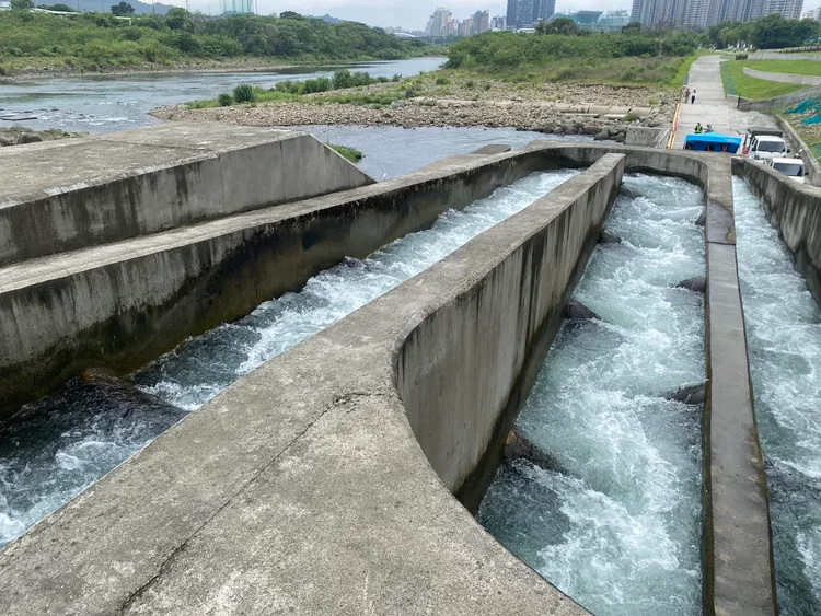 碧潭堰魚道成功連接堰體上下游的生態廊道，讓新店溪的魚蝦蟹可以順利洄家。水利局提供