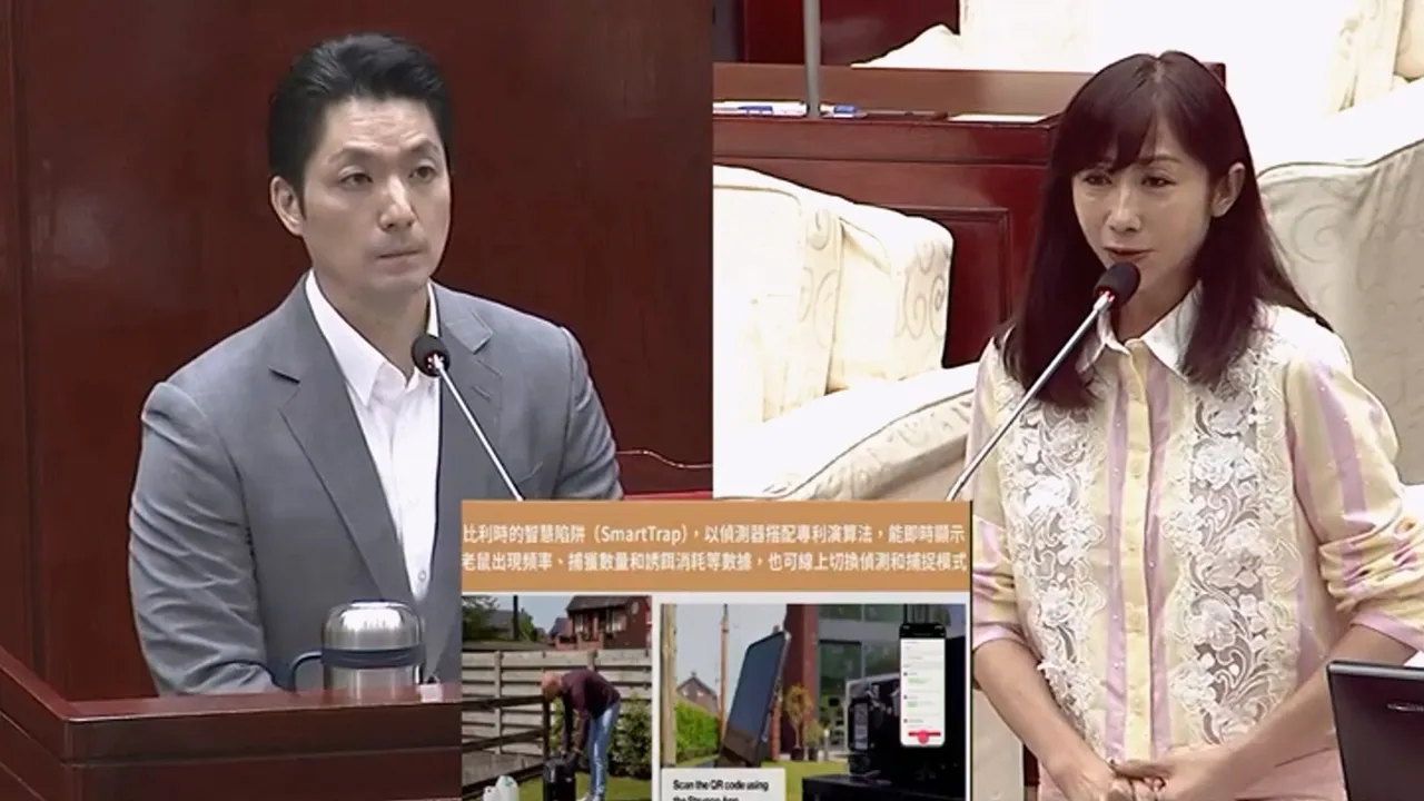 綠議員許淑華喊話「老鼠也是動物」　提醒蔣萬安：避免傷害牠